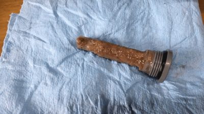 鉄バクテリア、鉄細菌