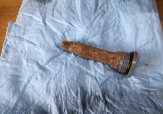 鉄バクテリア、鉄細菌